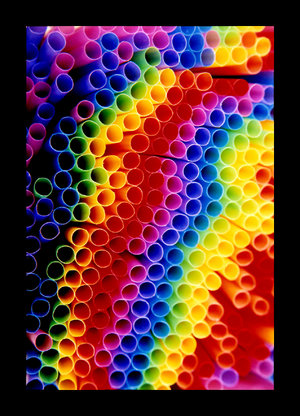 6ccc26e958_6738012_o2.jpg